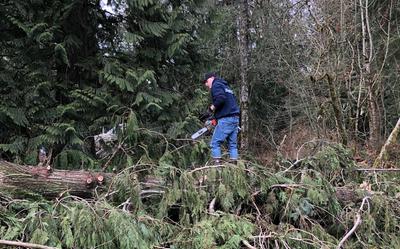 Tanaka 18-in 40-cc 2-Cycle Gas Chainsaw at Lowes.com