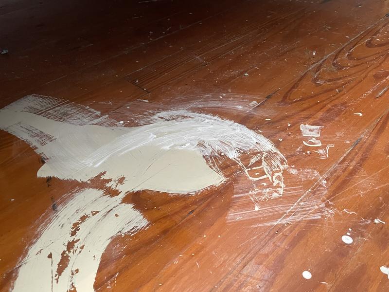 Goof Off 12 Oz. Hardwood Floor Paint Splatter Remover - Contractors  Building Supply