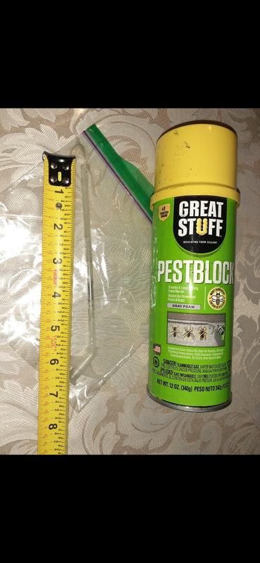 GREAT STUFF Big Gap Filler 20 oz Straw Indoor/Outdoor Spray Foam