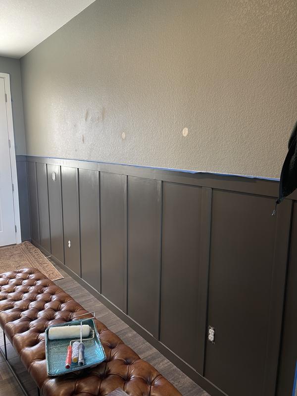 Shop Zinsser BIN Interior/Exterior Multi-purpose Shellac Wall and ...