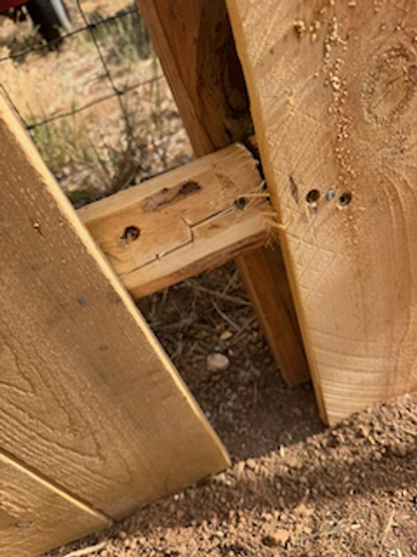6-ft x 8-ft 17 -Picket Incense Cedar Dog Ear Fence Panel Assembled in ...