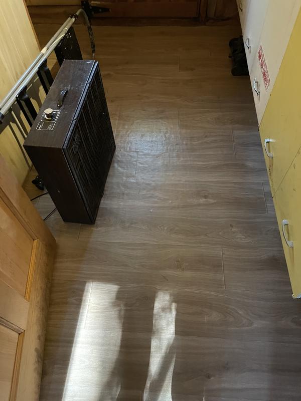 Style Selections Delightful Driftwood Brown Wood Look 10-mil