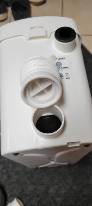 Image #3 from TAILB