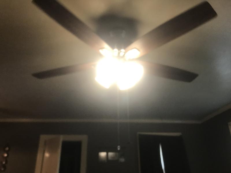 Flush Mount Ceiling Fan With Light, Are Patriot Ceiling Fans Good Reddit