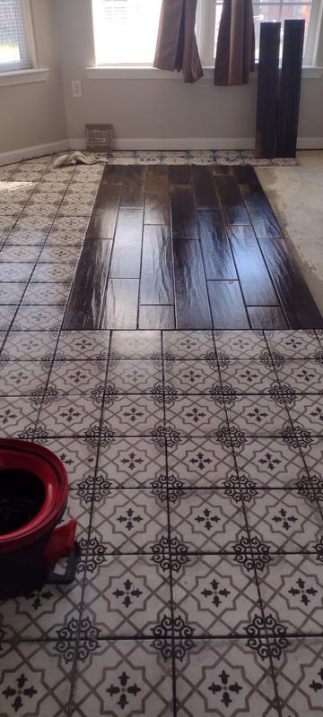 Griffin 8-in x 8-in Matte Porcelain Encaustic Floor and Wall Tile