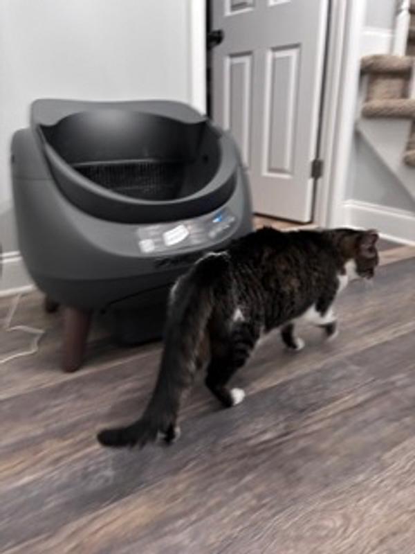 CATLINK Open Top Self-Cleaning Litter Box Multi-Cat Anti-Pinch Health ...