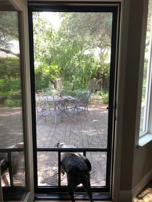 Screen Door With 32 S Duty Mesh Ain, Fits Doors 39x82, Dogs Pets Friendly  Door Screen