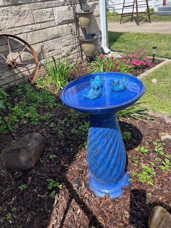 allen + roth 11.6-in Imperial Blue Glazed ceramic Plant Saucer in