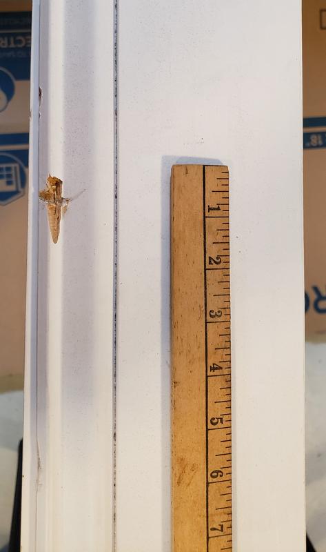 RELIABILT 1/2-in x 3-1/4-in x 8-ft Craftsman Primed Finger Jointed Pine ...