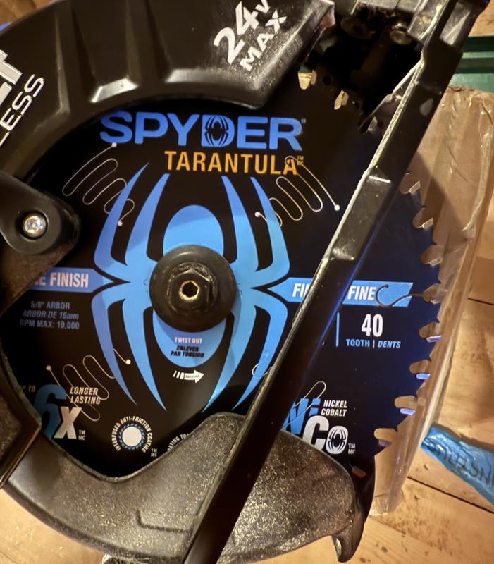 Spyder 7-1/4-in 40 -Tooth Fine Finish Tungsten carbide-tipped