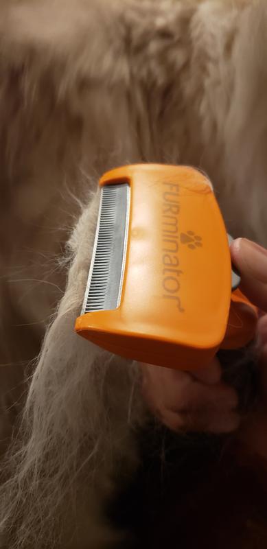 Furminator orange hotsell