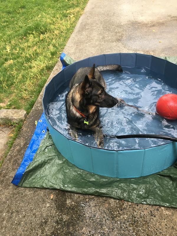 Pettom store swimming tub