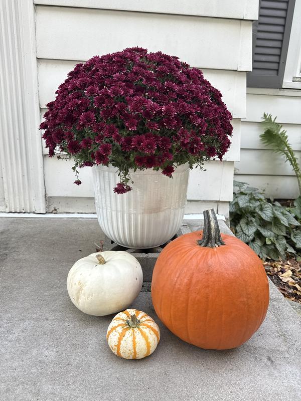 Origin 21 Round 13.03-in W x 13.03-in L White Recycled plastic