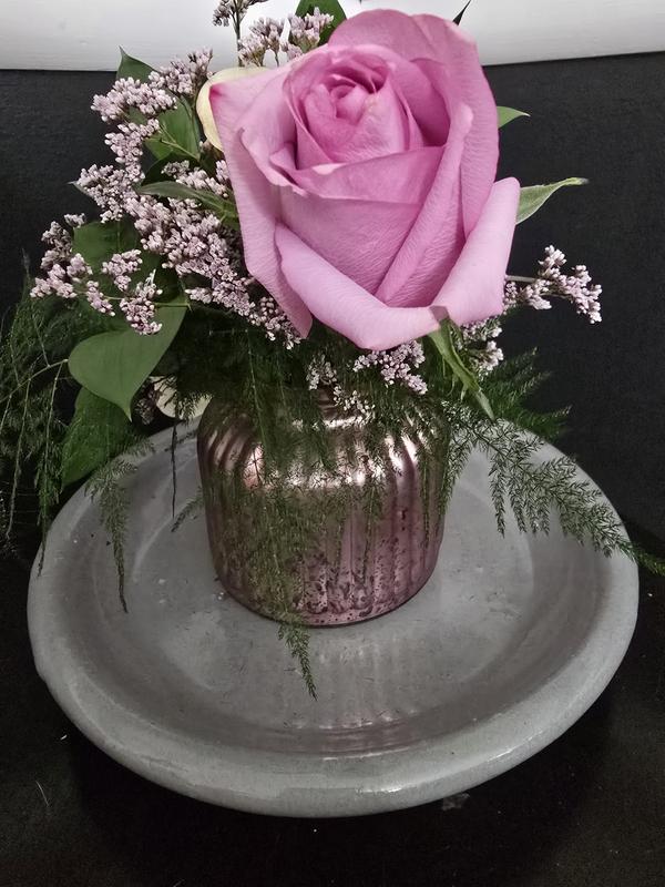 allen + roth 8.85-in Amazing Grey Glazed ceramic Plant Saucer in