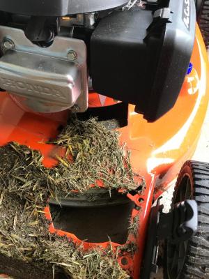 Husqvarna LC 221FH 160 cc 21 in Self Propelled Gas Lawn Mower with Honda Engine in the Gas Push Lawn Mowers department at Lowes