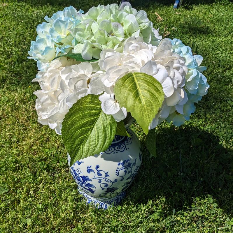 Hydrangea4936　0705 allen + roth 7.5-in Blue, White, Green Indoor Hydrangea
