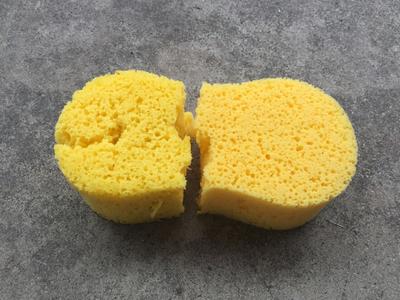 ProLine Sponge Polyurethane Sponge (2-Pack) in the Sponges & Scouring Pads  department at
