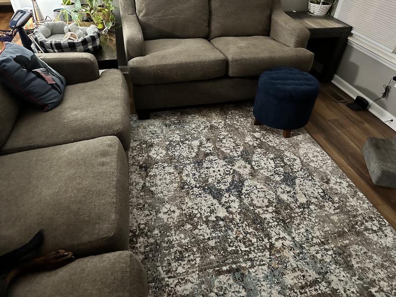 allen + roth with STAINMASTER Damask Abstract 6 x 9 (ft) Woven ...