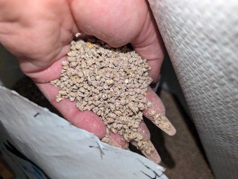 Farm Eats 16% Layer Crumble Grain Crumbles Poultry Feed 50-lb 3009806 ...