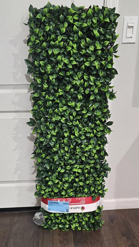 【新品】IVY デイリー プロテクション ベースSPF22.PA＋＋　6本セット Naturae Decor Pre-lit Expandable Privacy 72-in W x 36-in H