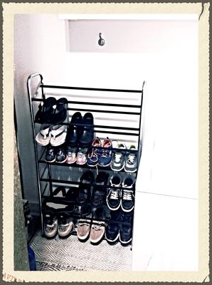 Style Selections 30 Pair Chrome/Black Coated Metal Shoe Rack at