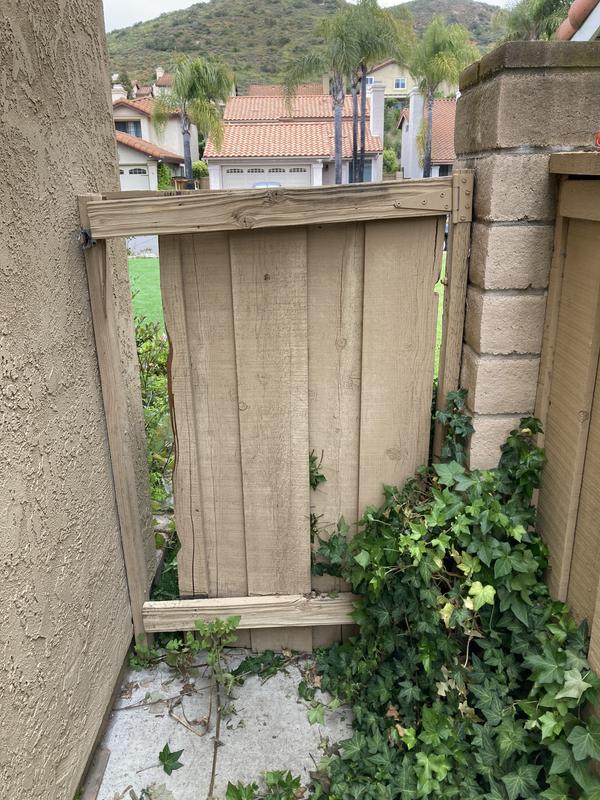 1x5 1/2 Sugi Japanese Cedar Fence Boards