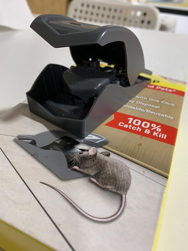 LARGE Mouse Traps Rat Mice Rodent Killer Snap Trap Reusable Heavy Duty Pest  Tra