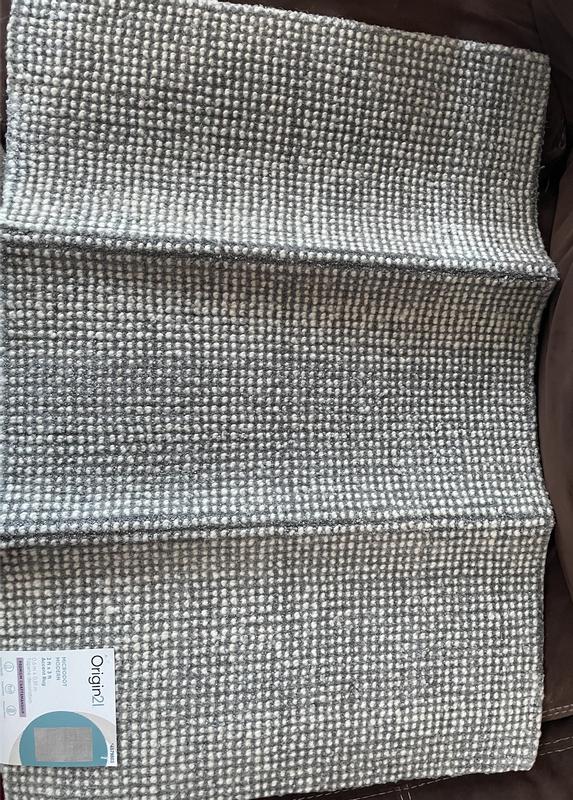 Origin 21 Microdot 2 x 3 (ft) Woven Polyester Platinum Rectangular ...
