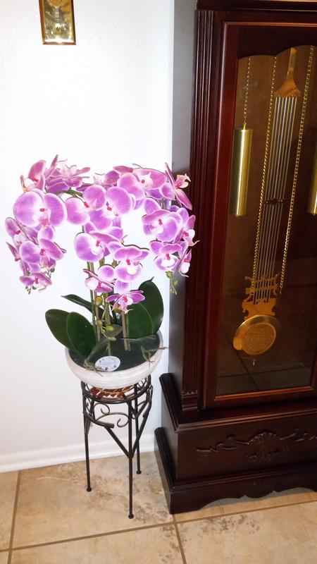 https://photos-us.bazaarvoice.com/photo/2/cGhvdG86bG93ZXM/1b553c26-6963-54e8-a554-ea959250b9c0