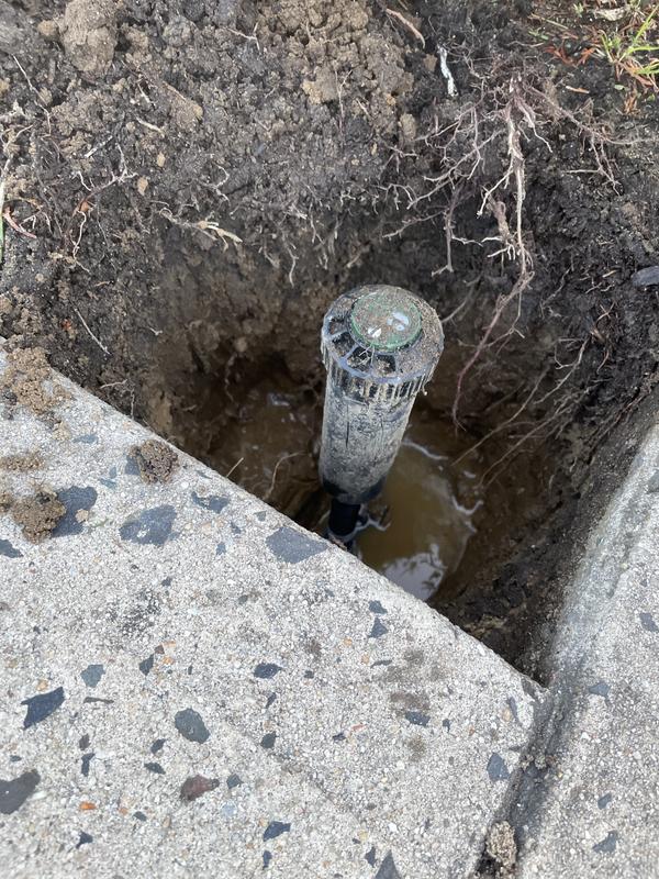 Project Source 1/2-in MNPT x 1/2-in MNPT Cut-off Riser 1140008 at Lowes.com