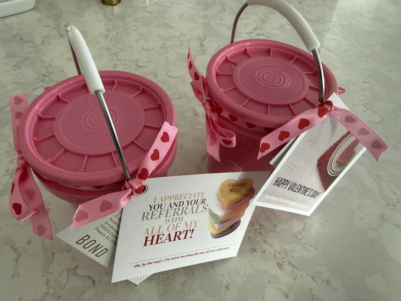 Shop Lowe's (4-Pack) mini bucket 0.4-quart BPA-Free Food-Grade Plastic ...