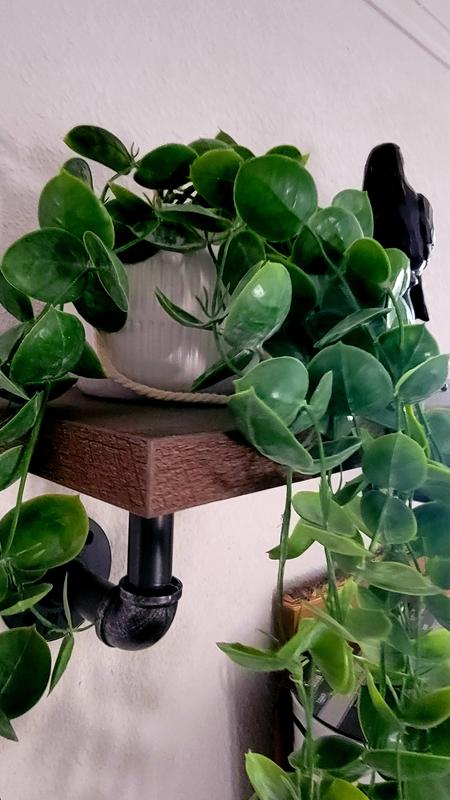 allen + roth 42.5-in White Indoor Hanging Artificial Ivy