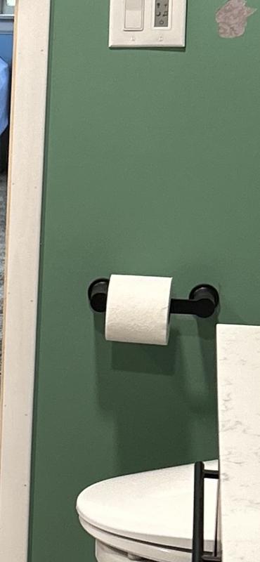Moen Rinza Wall Mount Pivoting Toilet Paper Holder, Matte Black - Town  Hardware & General Store