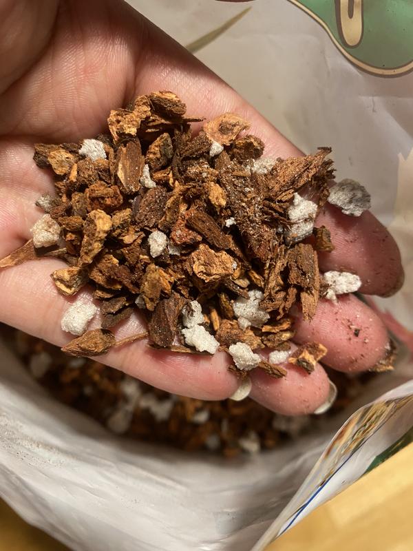 Gubler Orchid Grow Mix- Fine Grade 4-Quart Potting Soil Mix in the
