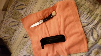 Buck Knives 3.75-in Steel Clip point Pocket Knife in the Pocket