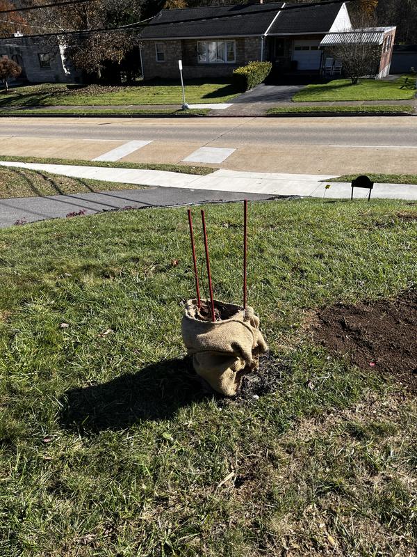 Metal Harvest Stake — The Gardeners Market