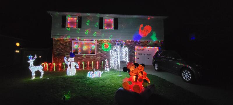 Holiday Living 5-ft LED Sparkle Frozen Fractals Buck Yard