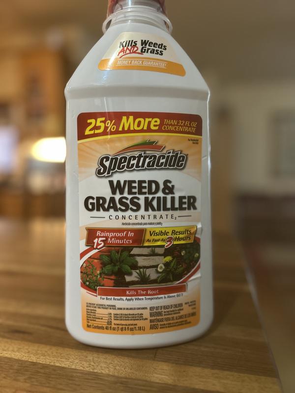 https://photos-us.bazaarvoice.com/photo/2/cGhvdG86bG93ZXM/244ba957-b846-57b7-8ab5-dbe8e7d5f04a