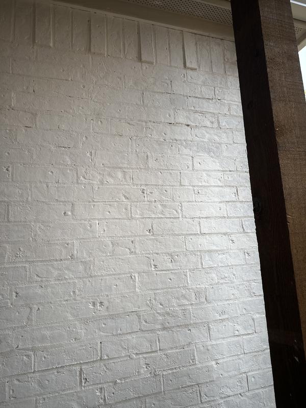 ROMABIO Masonry Stucco and Brick Flat Classico Limewash