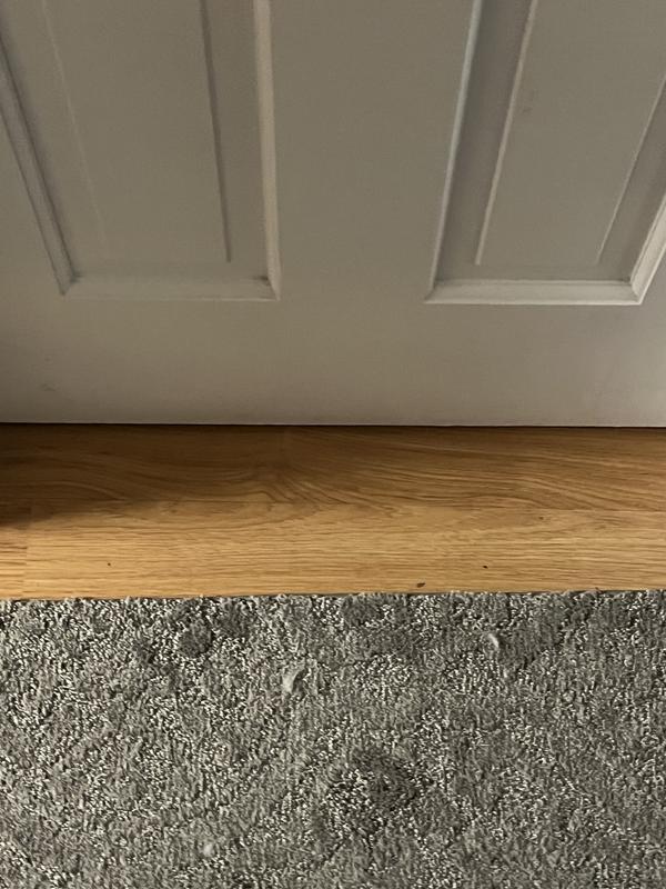 Jorgensen 10-in Rasp Coarse Tooth Flat File 70755 at Lowes.com