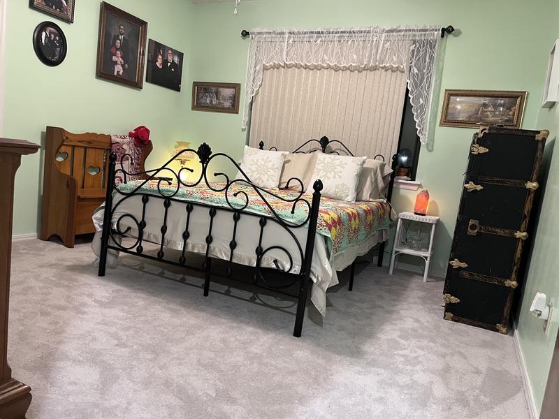 STAINMASTER PetProtect Alluring Splendor III Ocean Clouds