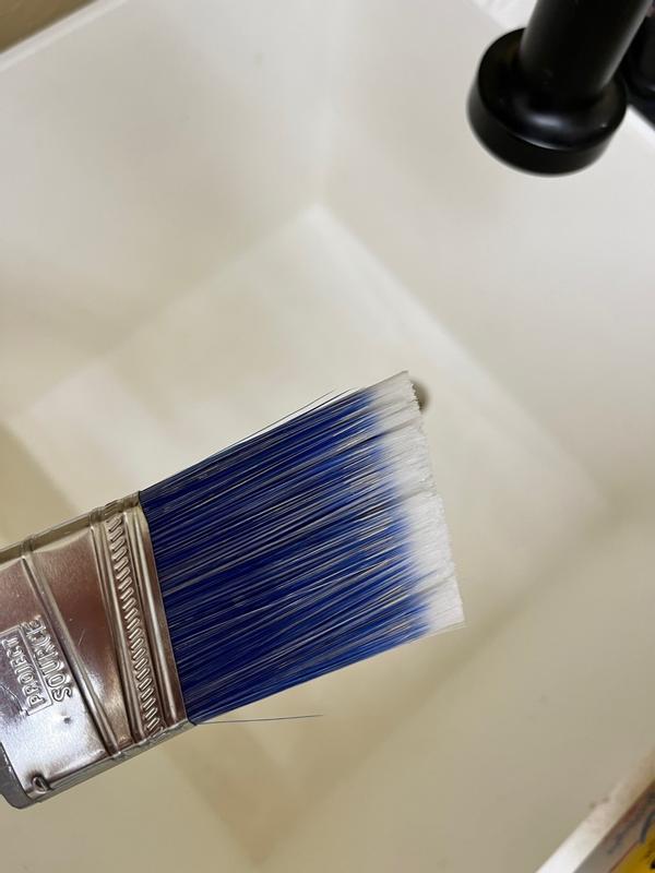 Project Source 3-in Natural Bristle Flat Paint Brush (Chip Brush) | 2200530