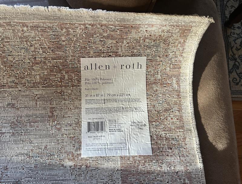 allen + roth Monarch Border 2 x 8 (ft) Flatweave Polyester Rust ...