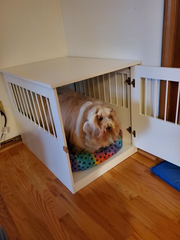 Photo inspiration: Picture Idea: Closetmaid Extra Small Composite Dog Cat Crate Indoor 1 92
