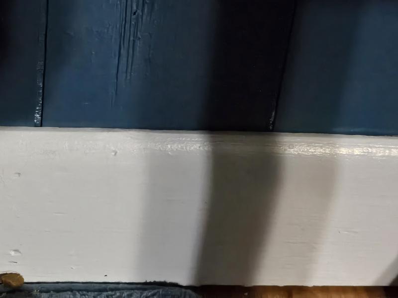 allen + roth 9/16-in x 3-1/4-in x 8-ft Colonial Painted Finger Jointed ...