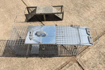 Havahart® 1081 Pro Live Animal 1-Door Raccoon Cage Trap, X-Large