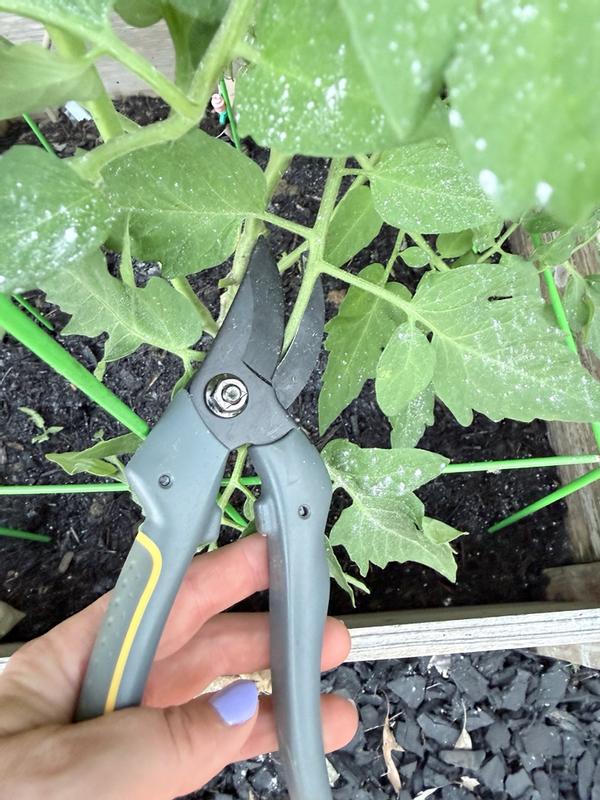 Woodland Tools Duralight Carbon steel Bypass Hand Pruner with ...