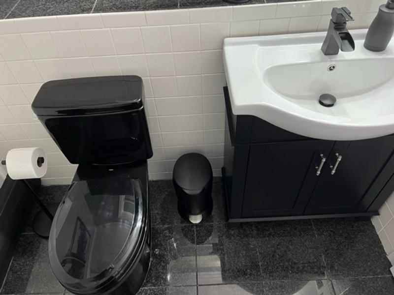 TOTO CST776CSF#51 Drake 2-Piece Elongated 1.6GPF Toilet in Black