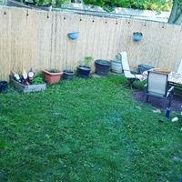 Backyard X Scapes Actual 16 Ft X 6 Ft Natural Reed Fencing