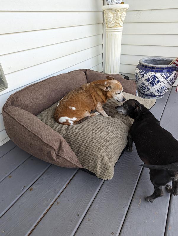 La-Z-Boy Franklin Dog Sofa with Pillow